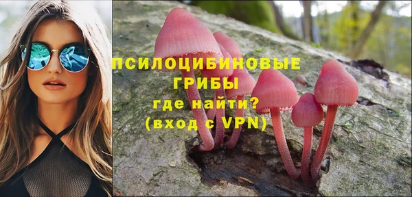 меф Богородицк