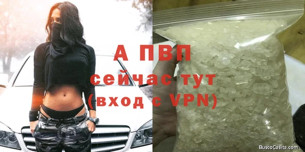 jwh Белокуриха